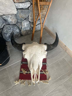 Bison Skulls