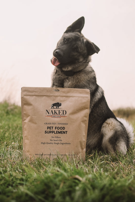 Pet Food Supplement