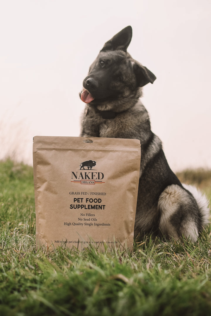 Pet Food Supplement