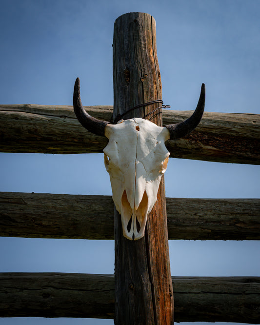 Tall Skull | Bullet Mark