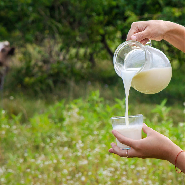Grass-Fed Freeze-Dried A2 Raw Colostrum